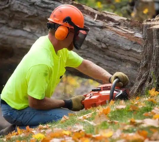 tree services Albert Lea